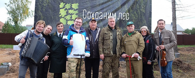 В Кировской области сравняли площади лесовосстановления и вырубленного, поврежденного леса