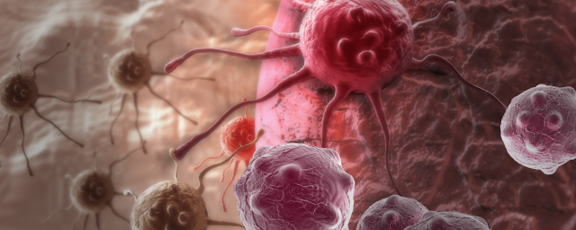 Cancer vaccine is ready for human trials