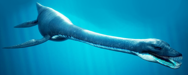 Доктор Анна Краль описала способ перемещения плезиозавров под водой