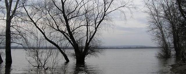 В Самаре во время половодья может подтопить микрорайон «Волгарь»