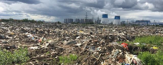Петербург отмечает День города двумя тысячами жалоб на свалки мусора
