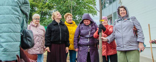 В Клину высадили аллею кленов, посвященную тем, кто защищает жителей Донбасса