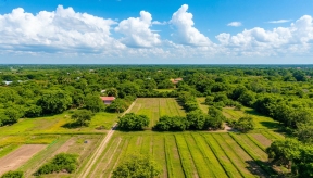 Юрист Кузнецов объяснил, при каких условиях теперь могут изъять землю по новому закону