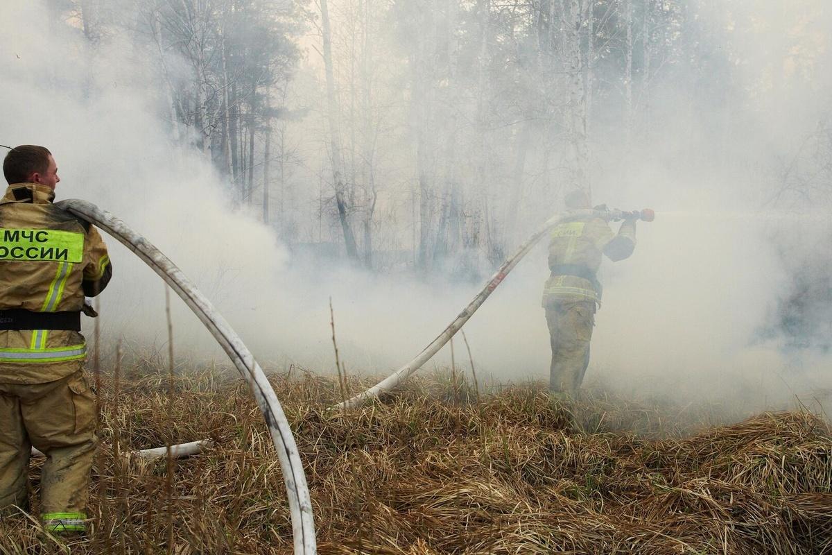 В Саратовской области запретили посещать леса до 31 июля