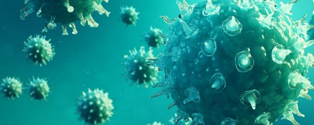 В России обнаружили новый штамм коронавируса «русский дельтакрон»