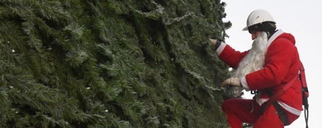 В Красноярске начали наряжать 55-метровую елку на острове Татышев