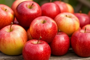 Экспорт яблок с Кубани вырос в 2,5 раза с начала 2025 года, достигнув 592,7 тонны