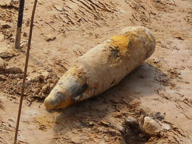 На Брянщине в лесу обнаружили склад боеприпасов‍