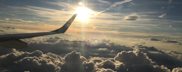 Эксперт оценил отказ Нидерландов от привлечения Украины в деле MH17