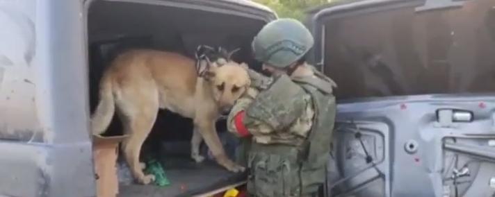 Российские военные помогли семье из Шебекино вывезти из города животных и вещи