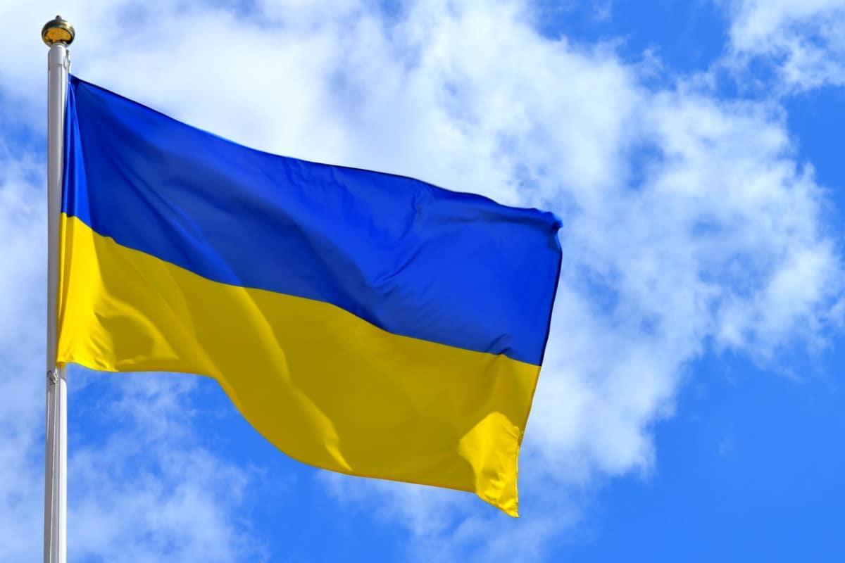 Украинский экономист недоволен решением МВФ по долгам Украины