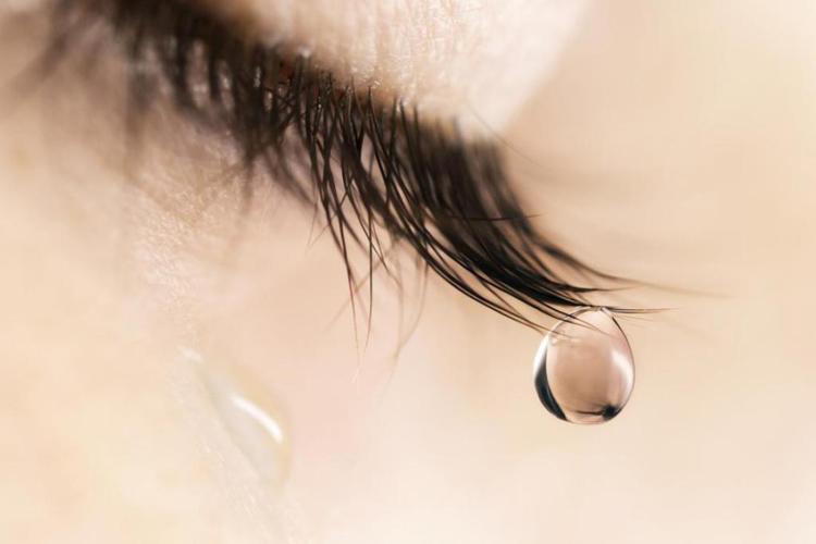 Ученые выяснили, что слезы способны подавить агрессию у окружающих