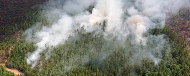 В Новосибирском районе ожидается чрезвычайная пожароопасность