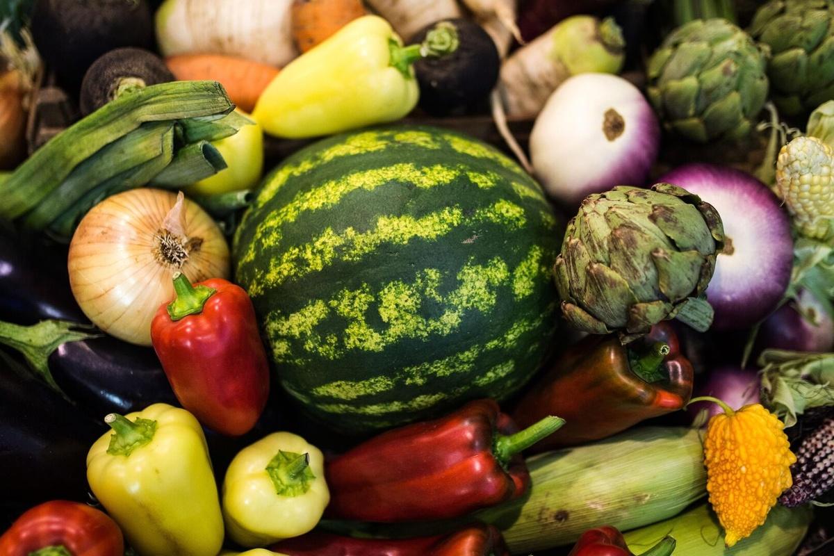 Эксперт рассказала, как перейти на ежедневный рацион в пределах 1400 калорий