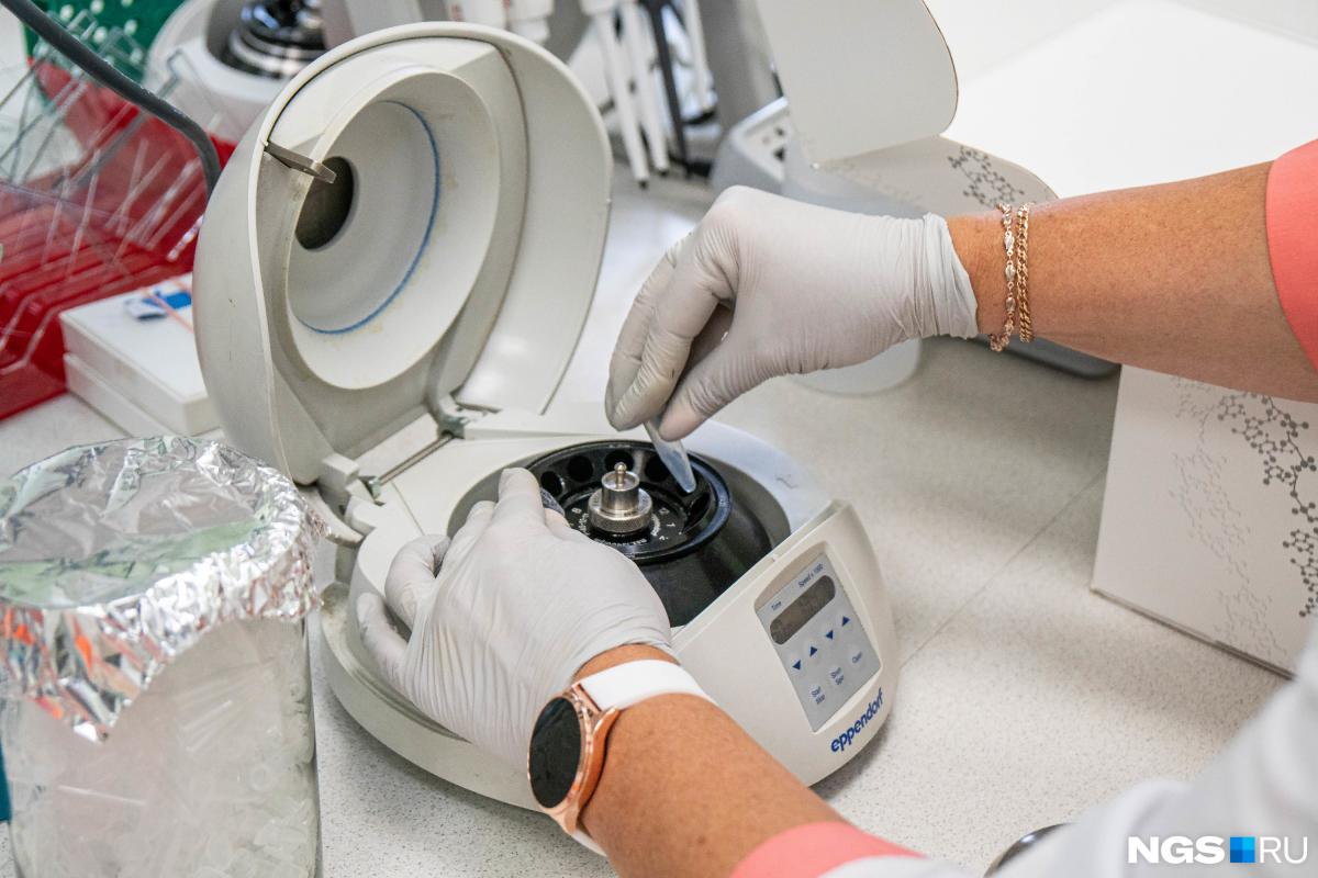 Роспотребнадзор рассказал, как избежать заражения оспой обезьян