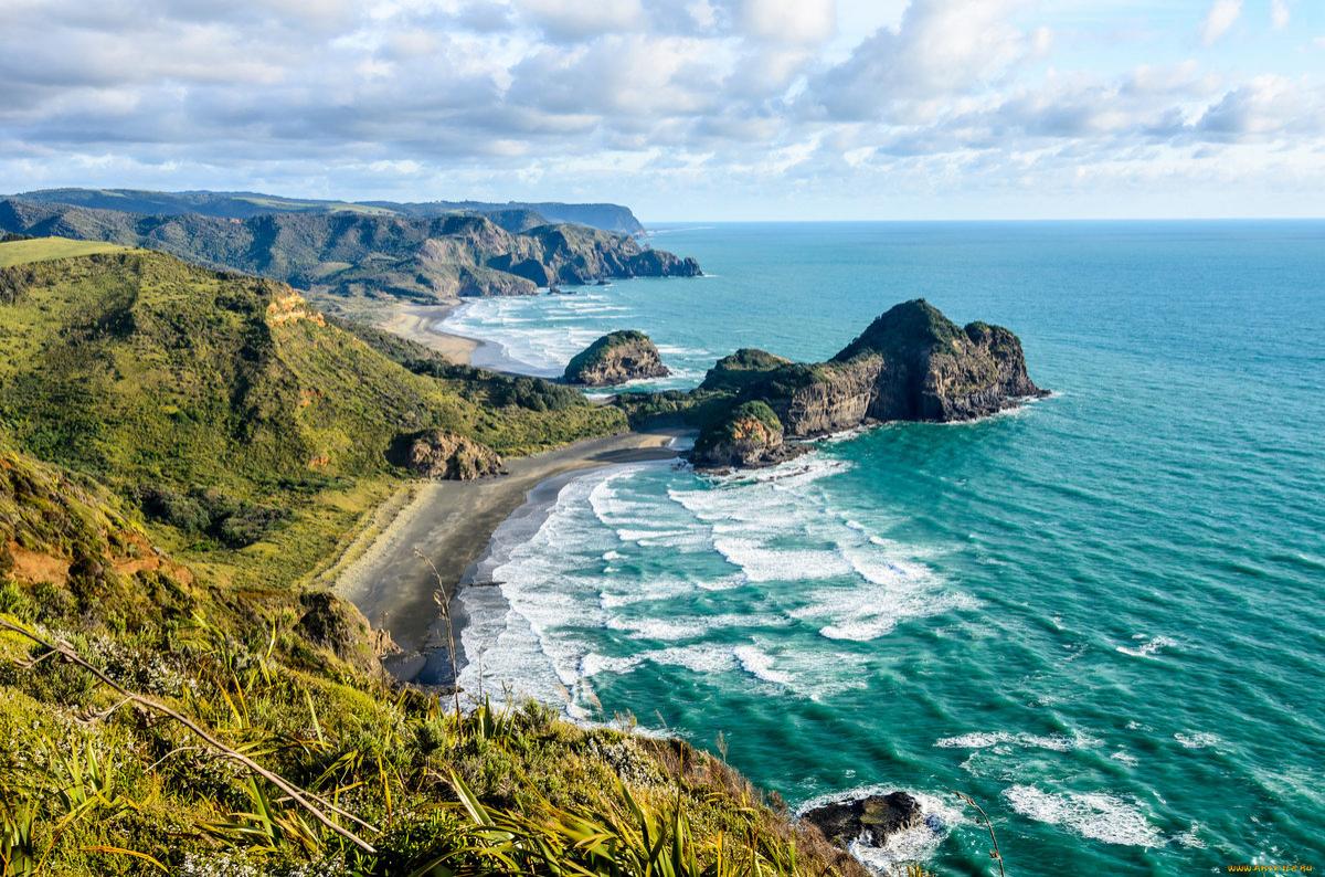 Ученые рассказали, чем грозит потепление воды у берегов Новой Зеландии