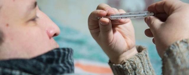 Минздрав: Эпидемия гриппа в России пройдет через три недели