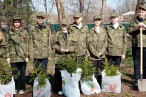 Школьные лесничества Егорьевска готовятся к проведению акции «Лес Победы»