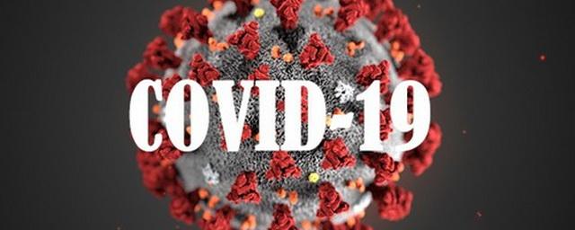 В Екатеринбурге депутат Колесников призвал ужесточить меры по борьбе с коронавирусом