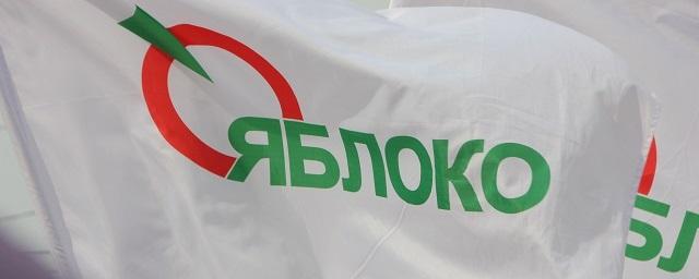 Депутата партии «Яблоко» из Смольнинского МО заподозрили в растлении собственных детей