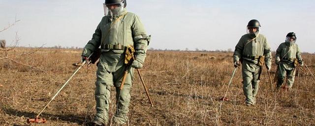 В Чечне саперы начали разминирование сельскохозяйственных земель