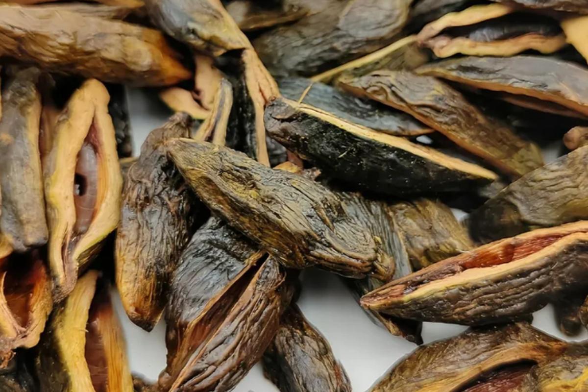 Российские школьники подсели на опасный психотропный орех, вызывающий рак