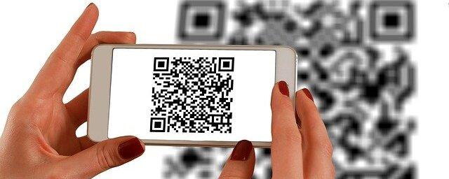 47 из 50: брянские депутаты поддержали законопроект о введении QR-пропусков