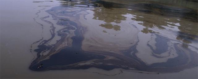 В двух реках Пермского района обнаружили разлив нефти