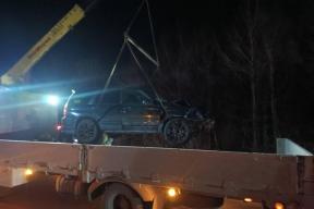 В Приморье автомобиль столкнулся с тигром, хищник ушел в лес без травм