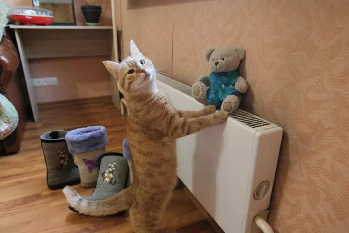 В Липецке стартовал отопительный сезон