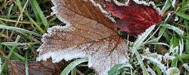 В Хакасии прогнозируют заморозки и грозы