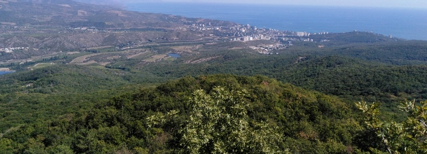 В крымских лесах тестируют более 20 пожарных видеокамер