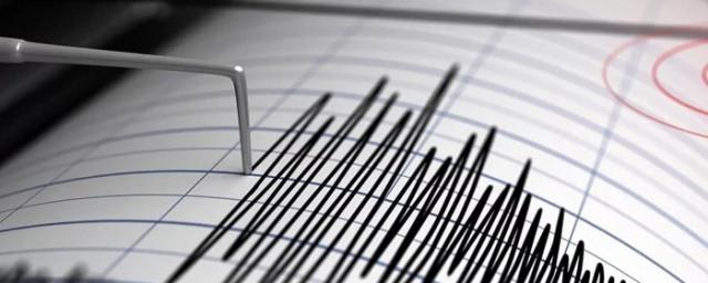 В Турции зафиксировали землетрясение магнитудой 5,0
