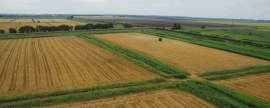 В России приняли закон о мониторинге земель сельхозназначения