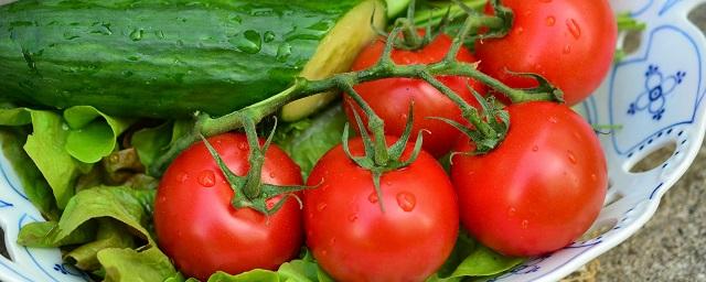 В России ограничили закупки импортных огурцов и помидоров