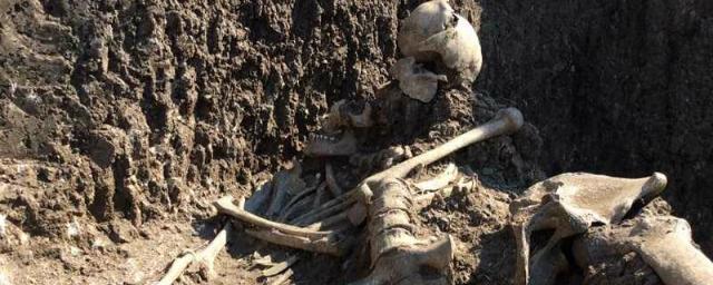 В Израиле были обнаружены следы самой древней кремации