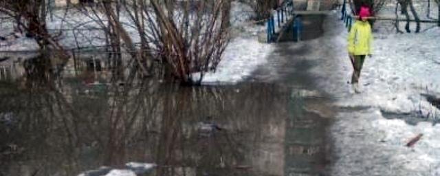 На улице Давыдова разлившаяся река Ельцовка подтопила поход к дому №11