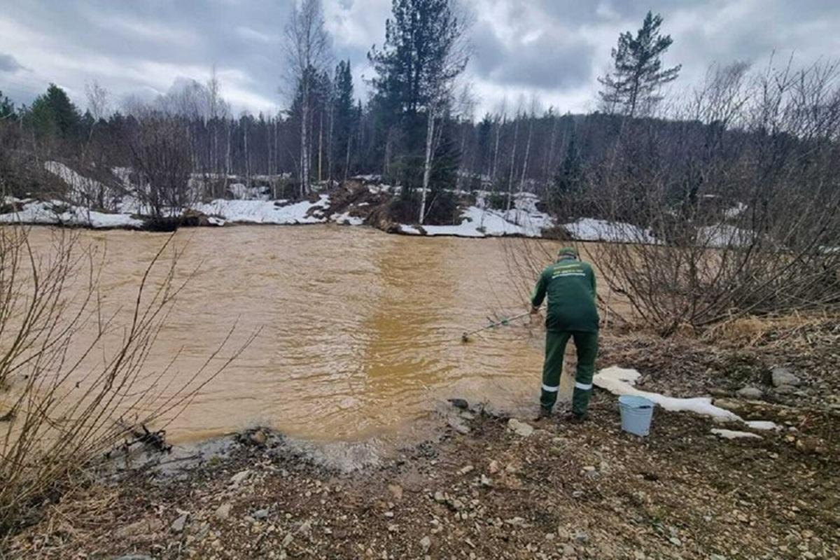 Золотодобытчики Хакасии загрязнили реки: пробы показали превышение ПДК в сотни раз