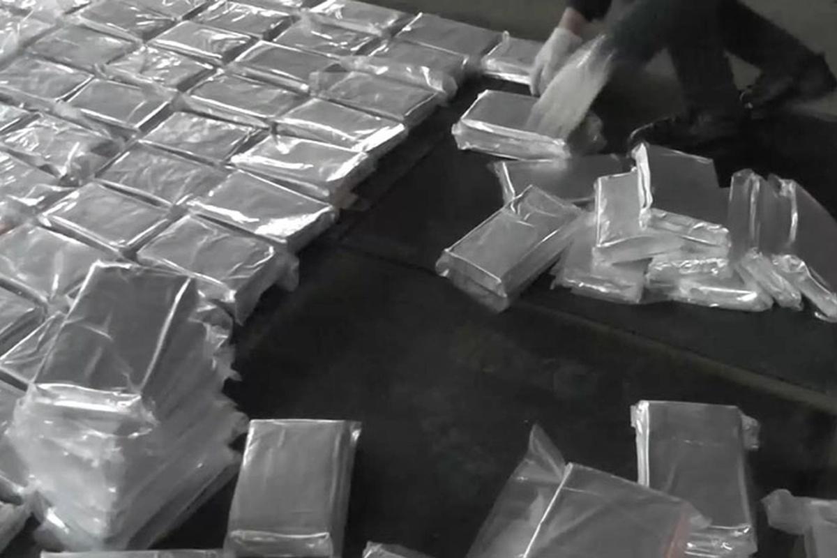 Таможня Петербурга задержала огромную партию кокаина, перевозившуюся под видом бананов