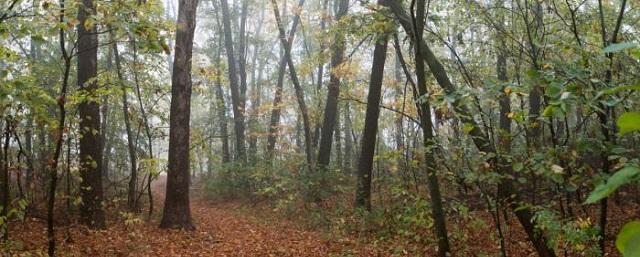 В Калмыкии будут развивать туризм и создадут кластер на миллионе га