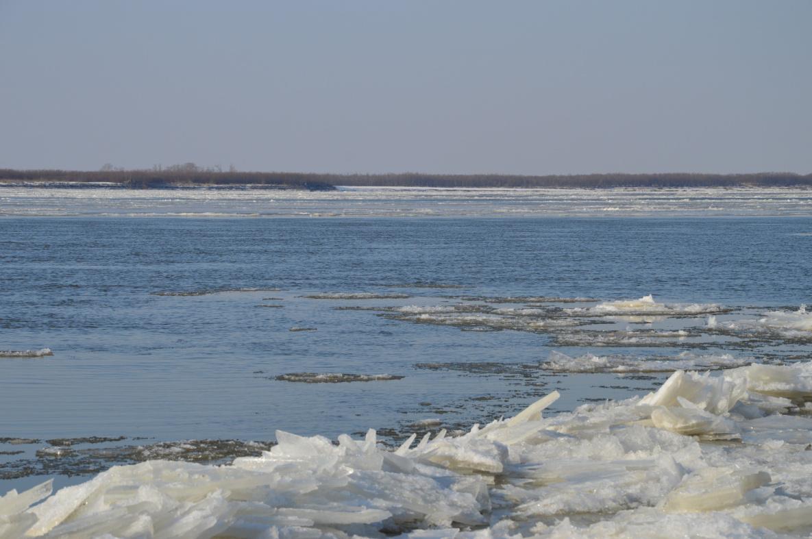 Ледоход на Амуре у Хабаровска начнётся в период с 8 по 10 апреля