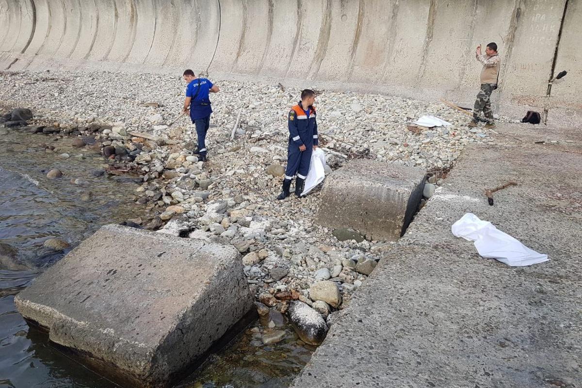 Сергей Бойко: мазутных пятен после атаки дронов на порт Туапсе не обнаружено