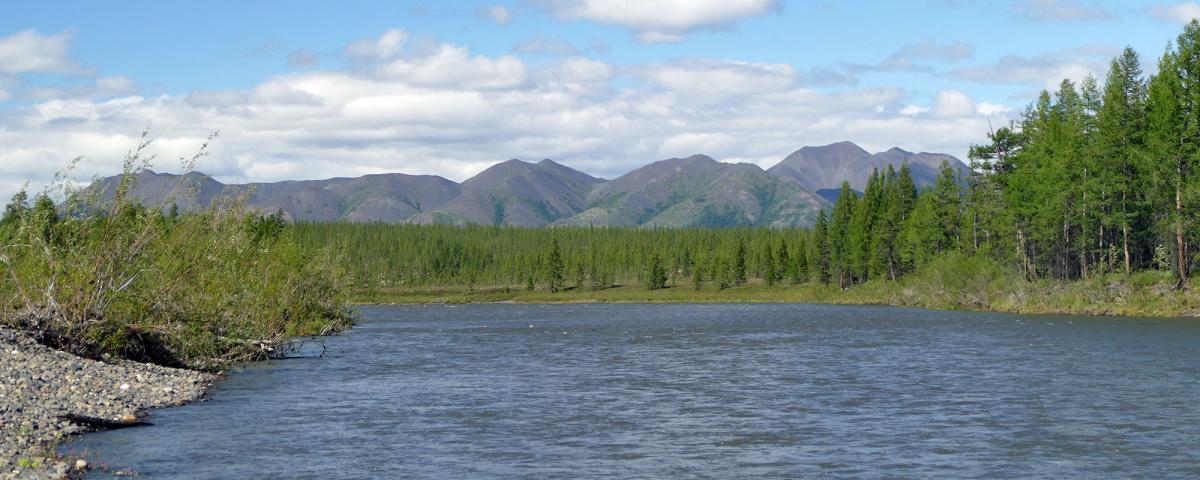Минэкологии Якутии проводит проверку из-за загрязнения реки Адыча