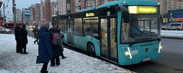 Час ожидания и сломанные ноги: чем грозит петербуржцам поездка в новых «лазурных» автобусах