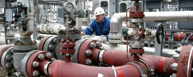 German Economy Minister Habek: Germany is 55% dependent on Russian gas