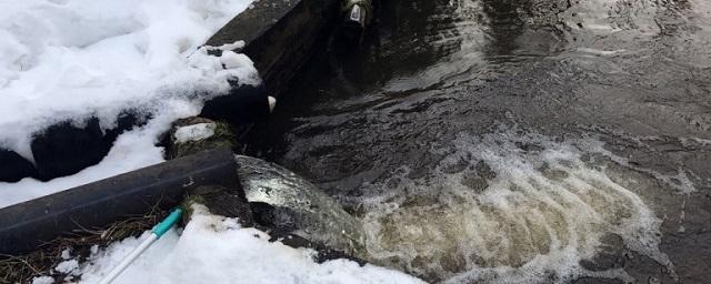 В Раменском округе после вмешательства Минэкологии прекращено загрязнение ручья