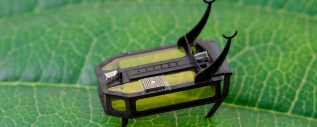 Спроектирован микроробот, «кушающий» спирт для движения