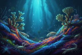 Учёные изучили влияние потепления на морские экосистемы по всему миру