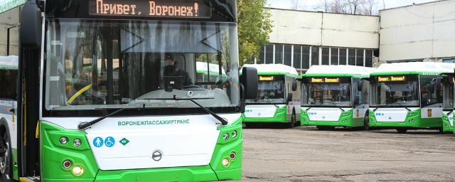 Новые низкопольные автобусы начнут работать в Воронеже с 1 декабря