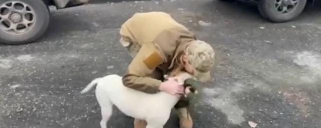 Кадыров сообщил о возвращении спасенной в «Азовстали» собаки украинской хозяйке